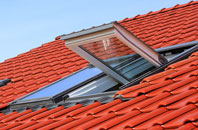 Fachwen roof window